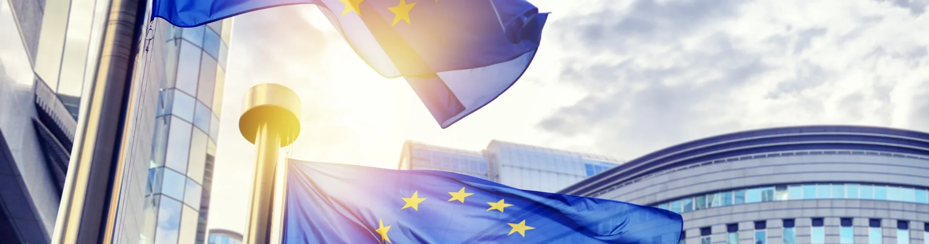 Politische Arbeit | EU | VDR