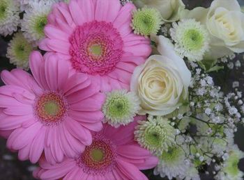 Blumen | Verband Deutsches Reisemanagement e.V. Blumen | Verband Deutsches Reisemanagement e.V.