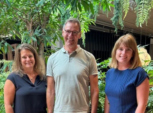 Fachausschuss Mittelstand Leitung | VDR