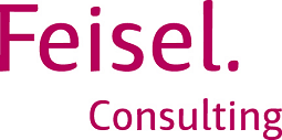Logo-Feisel Consulting - Modernes Travel Management-Beratung