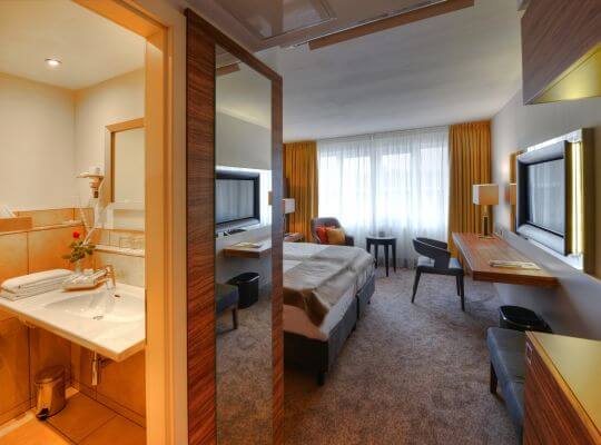 Best Western Plus Hotel Delta Park Mannheim, Business-Zimmer | VDR-Gastgeber